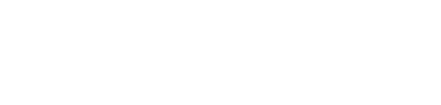 Career Coach